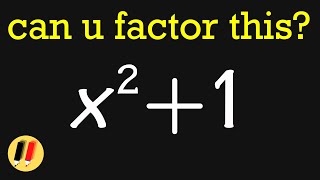 People Say "YOU CANNOT FACTOR x^2+1"