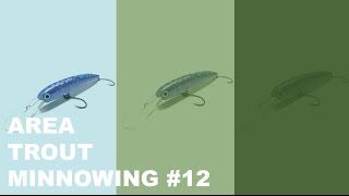 【開成水辺FS】Area Trout Minnowing #12【管理釣り場でミノーだけ】