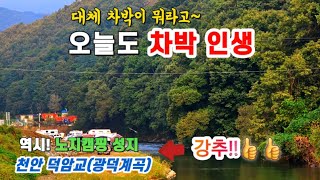 🚙🏕 차박과 캠핑을 하고 싶은데 어디로 가야 할까?/천안 노지 캠핑 성지 덕암교 강추!!👍👍