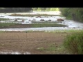 Water Released Into The Rio Grande