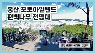 [🎥은평 1인 크리에이터] 봉산 포토아일랜드 편백나무 전망대