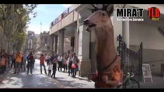 FIRA MEDITERRÀNIA MANRESA 2016: BOMBOLLERS DE CERVERA