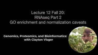 Bio224 F20 - RNAseq GO Enrichment and normalization caveats