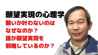 願いが叶わないのはなぜなのか？誰が願望実現を邪魔しているのか？（2022年1月26日）