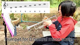 เป่าทรัมเป็ต Trumpet 🎺 for D natural minor scale #trumpet #bachbrass