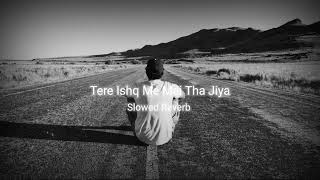Tere Ishq Mein Mai Tha Jiya  (slowed - Reverb) || Lofi Baby