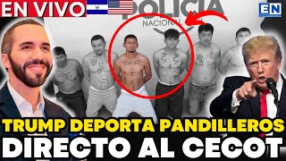 ¡ULTIMA HORA! TRUMP DEPORTA PELIGROSOS PANDILLEROS VAN DIRECTO AL CECOT  NADIE LO ESPERABA