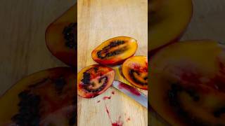 న్యూజిలాండ్ లో కొత్త రకం పండ్లు #tamarillo #fruitcutting #viral