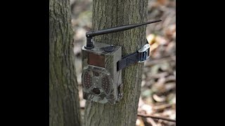 camera de chasse hc 300 m