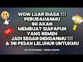 👉WOW LUAR BIASA‼️PERUBAHANMU AKAN BUAT SIAPAPUN YG REMEH JADI SEGAN, & INI PESAN LELUHUR UTKMU 💵🏆😱✈️