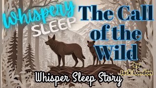 Escape to the Yukon: Whisper Sleep Story of Jack London's The Call of the Wild | 4 Hour Sleep Story