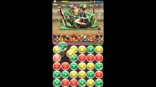 Challenge Dungeons 14 Lv 10 - Tsubaki