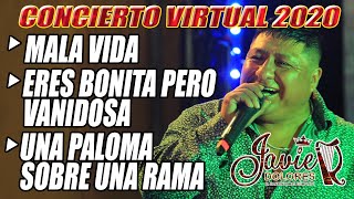 Javier Dolores ►Mala Vida/Eres bonita pero vanidosa/Una paloma sobre una Rama/Concierto Virtual 2020