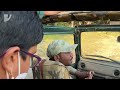 bandhavgarh national park video tala gate jungle safari bandhavgarh tiger reserve tala zone