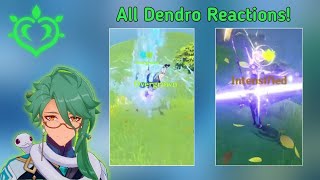 Dendro Reactions Gameplay Showcase | Genshin Impact Leaks