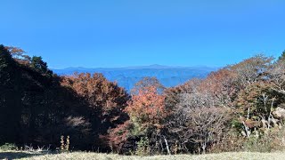 241109【リハビリＤｅスーパー林道】６　山住から天竜の森