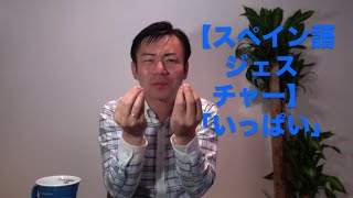 【初心者こそ極めたいスペイン語ジェスチャー】「たくさん・いっぱい」/　大統領の通訳が教えるスペイン語