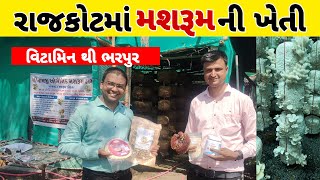 રાજકોટના ખેડૂતે કરી કમાલ || મશરૂમ ની ખેતી માં મેળવી સફળતા