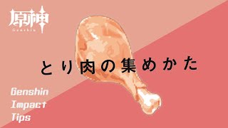 【原神】鳥肉の集めかた