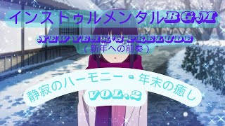 【New Year’s Prelude （新年への前奏）】雪明かりの小道 - 来年への祈り.2