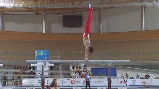 Ginástica: Taça Mundo Artística Anadia 2016