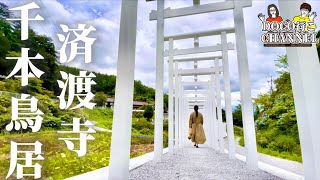 【岡山県観光】白い鳥居？最新パワースポット！「千本鳥居」～済渡寺～