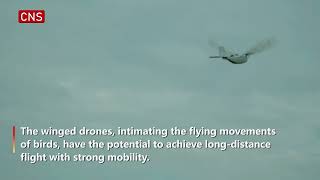 Bionic bird drone developed by China's university makes breakthrough