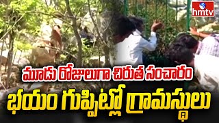 Cheetah riot in Koonipur, Nizamabad district | నిజామాబాద్ జిల్లా కూనీపూర్ లో చిరుత కలకలం | hmtv