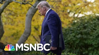 Officials Follow Trump's Lead Dodging All Reporter Questions | The 11th Hour | MSNBC