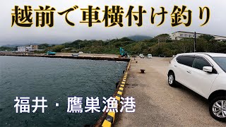 【釣り場動画#134】福井で車横付け釣りするならココ！鷹巣漁港はアオリイカ・アコウ・青物が狙えます