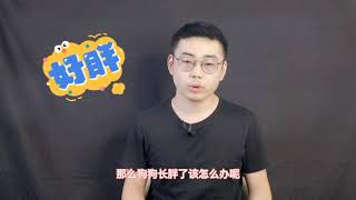 狗狗太胖了，想减肥怎么办，和我一起来了解一下吧