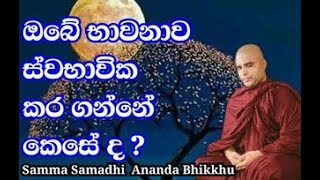 2022.05.24.#Sri Ven #Ambilipitiye #Ananda #Bhikkhu-#Sammasamadhi #Bwana#sinhala#srilanka#Dhamma