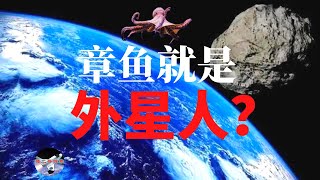 章鱼就是外星人？你相信吗？︱【猪二哥探索】