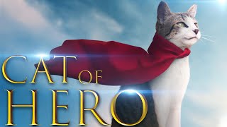 Cat of Hero  |  Hero Animals Saving Humans Caught On Camera