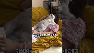 猫咪爱睡床位，那你麻烦大了！#新手养猫 #猫猫 #养猫日常 #宠物知识  #pets  #宠物生活  #cat  #貓