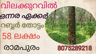 ഒന്നര ഏക്കർ റബ്ബർ തോട്ടം വിൽപ്പനക്ക് 58 ലക്ഷം രൂപ മാത്രം രാമപുരം