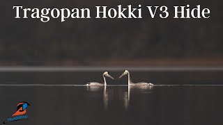 Hokki V3 Hide for Wildlife Photography | Tragopan