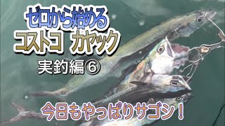 コストコカヤック2020実釣編⑥今日もナブラを求め漕ぎに出る…