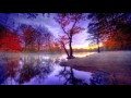 🍁 'Red Leaves of Autumn Eves' 🍁 Chillstep Mix - 432 hz