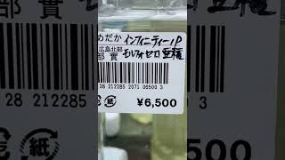 ◉9/22 産直補充のメダカ達◉安芸高田市　ベジパーク