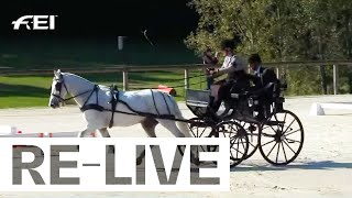 RE-LIVE | Cones - FEI Driving World Championship 2022 for Singles