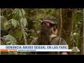 Mujer denuncia que fue víctima de abuso sexual en las Farc