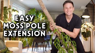 How to Extend a Moss Pole - and watering tips & tricks #tutorial