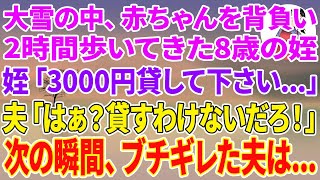 【スカッとする話】大雪の中、赤ちゃんを背負い2時間歩いてきた8歳の姪「3000円貸して下さい...」夫「はぁ？貸すわけないだろ！」次の瞬間、ブチギレた夫は...