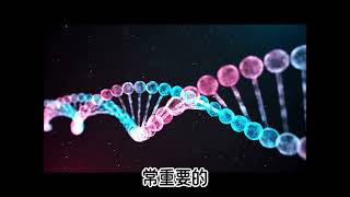 EP14  系統分析師必備DNA？你有幾個呢？