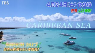 島国天国 カリブ 日本の真裏でふしぎ発見!!『世界ふしぎ発見!』4/24(土)【TBS】