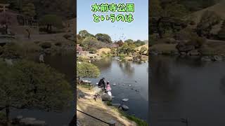 熊本観光ドライバーが教える 水前寺公園の豆知識#Shorts