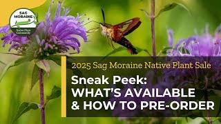 🌿 2025 Sag Moraine Native Plant Sale – Sneak Peek: What’s Available \u0026 How to Pre-Order! 🌿