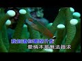 夢寐以求~鄭進一~男dm調~伴奏~導唱~金嗓 丙