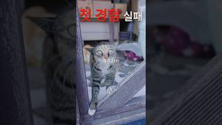 미식은 경험..